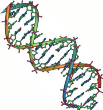 ../_images/DNA_double_helix_45.PNG